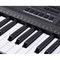 Синтезатор Medeli MK401, изображение 11