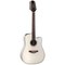 12-струнная электроакустическая гитара Takamine GD37CE-12 PW