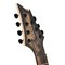 7-струнная электрогитара Cort KX507MS Pale Moon NBB, изображение 8