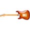 Электрогитара Fender American Professional II Stratocaster® HSS Sienna Sunburst, изображение 2