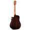 Акустическая гитара Alston DS-83D, изображение 2