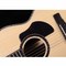 Трансакустическая гитара Alston AK-600G/S1-PRO, изображение 3