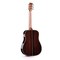 Трансакустическая гитара Alston AK-750/S1-PRO, изображение 2
