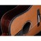 Трансакустическая гитара Alston AK-750/S1-PRO, изображение 3