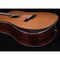 Трансакустическая гитара Alston AK-750/S1-PRO, изображение 5