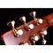 Трансакустическая гитара Alston AK-750/S1-PRO, изображение 11