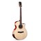 Трансакустическая гитара Alston DW-230G.S1-PRO