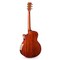 Трансакустическая гитара Alston DW-230G.S1-PRO, изображение 2