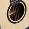Трансакустическая гитара Alston DW-230G.S1-PRO, изображение 13