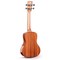 Укулеле концерт Alston UD-800, изображение 2