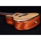 Укулеле концерт Alston UD-800, изображение 3