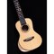 Укулеле концерт Alston UD-800, изображение 4