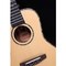Укулеле концерт Alston UD-800, изображение 5