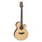 Электроакустическая гитара Takamine GF15CE